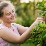 Jakie krzewy owocowe są najpopularniejsze w Polsce?